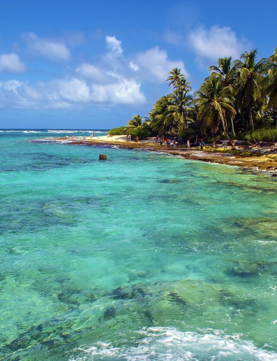 johnny cay san andrés