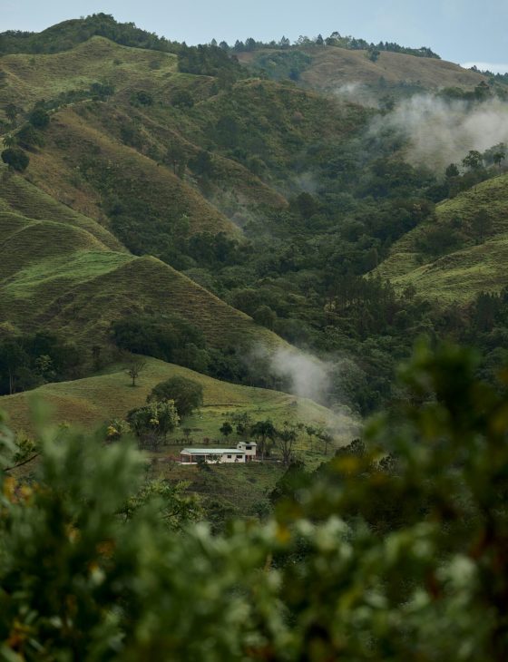 montañas eje cafetero