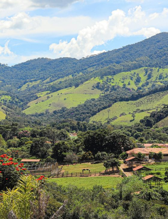 paisaje eje cafetero